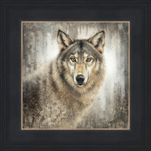 Load image into Gallery viewer, Untamed Eyes
