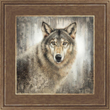 Load image into Gallery viewer, Untamed Eyes
