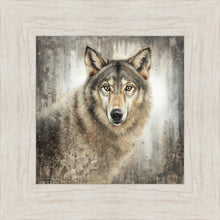 Load image into Gallery viewer, Untamed Eyes
