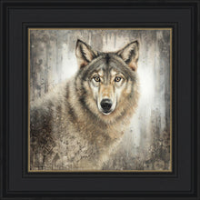 Load image into Gallery viewer, Untamed Eyes
