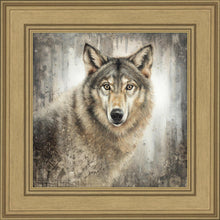 Load image into Gallery viewer, Untamed Eyes
