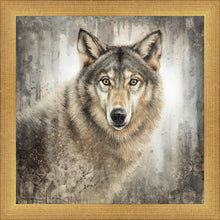 Load image into Gallery viewer, Untamed Eyes
