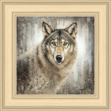 Load image into Gallery viewer, Untamed Eyes
