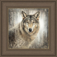 Load image into Gallery viewer, Untamed Eyes
