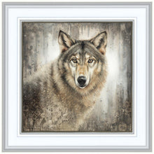 Load image into Gallery viewer, Untamed Eyes
