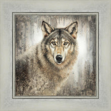 Load image into Gallery viewer, Untamed Eyes
