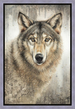 Load image into Gallery viewer, Untamed Eyes Gallery Wrap
