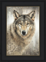 Load image into Gallery viewer, Untamed Eyes
