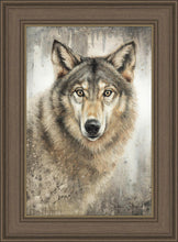 Load image into Gallery viewer, Untamed Eyes
