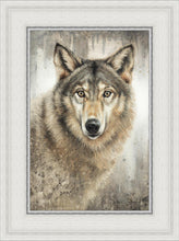 Load image into Gallery viewer, Untamed Eyes
