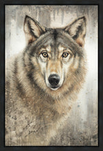 Load image into Gallery viewer, Untamed Eyes
