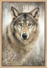 Load image into Gallery viewer, Untamed Eyes
