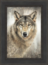 Load image into Gallery viewer, Untamed Eyes
