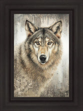 Load image into Gallery viewer, Untamed Eyes

