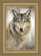 Load image into Gallery viewer, Untamed Eyes
