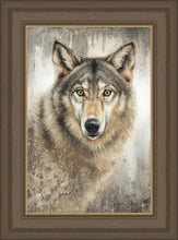 Load image into Gallery viewer, Untamed Eyes
