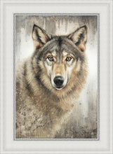 Load image into Gallery viewer, Untamed Eyes
