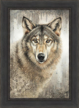 Load image into Gallery viewer, Untamed Eyes
