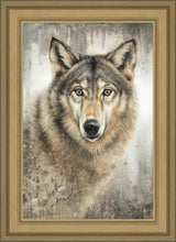 Load image into Gallery viewer, Untamed Eyes
