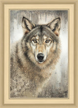 Load image into Gallery viewer, Untamed Eyes
