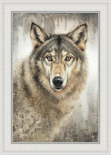 Load image into Gallery viewer, Untamed Eyes
