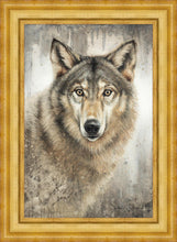Load image into Gallery viewer, Untamed Eyes
