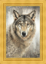 Load image into Gallery viewer, Untamed Eyes
