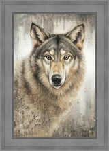 Load image into Gallery viewer, Untamed Eyes
