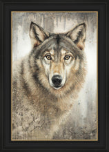 Load image into Gallery viewer, Untamed Eyes
