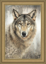 Load image into Gallery viewer, Untamed Eyes
