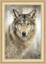 Load image into Gallery viewer, Untamed Eyes
