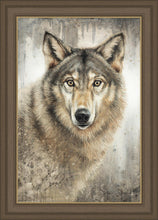 Load image into Gallery viewer, Untamed Eyes
