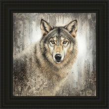Load image into Gallery viewer, Untamed Eyes
