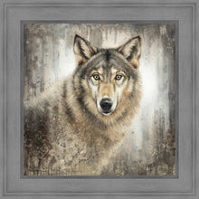 Load image into Gallery viewer, Untamed Eyes
