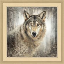 Load image into Gallery viewer, Untamed Eyes
