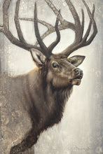 Load image into Gallery viewer, Nature's Allure
