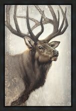 Load image into Gallery viewer, Nature's Allure

