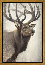 Load image into Gallery viewer, Nature's Allure Gallery Wrap
