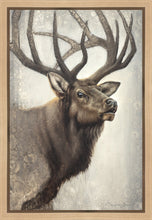 Load image into Gallery viewer, Nature's Allure Gallery Wrap
