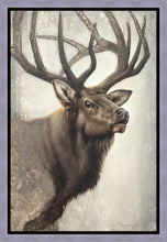 Load image into Gallery viewer, Nature's Allure Gallery Wrap
