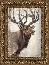 Load image into Gallery viewer, Nature's Allure
