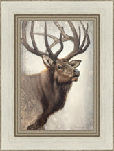 Load image into Gallery viewer, Nature's Allure
