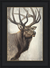 Load image into Gallery viewer, Nature's Allure
