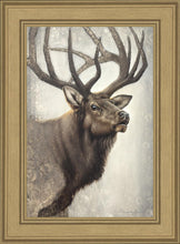 Load image into Gallery viewer, Nature's Allure
