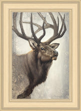 Load image into Gallery viewer, Nature's Allure
