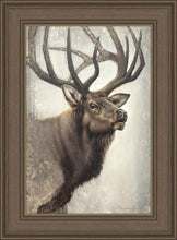 Load image into Gallery viewer, Nature's Allure
