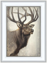 Load image into Gallery viewer, Nature's Allure
