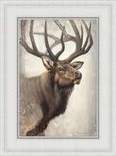 Load image into Gallery viewer, Nature's Allure
