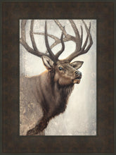 Load image into Gallery viewer, Nature's Allure
