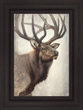 Load image into Gallery viewer, Nature's Allure
